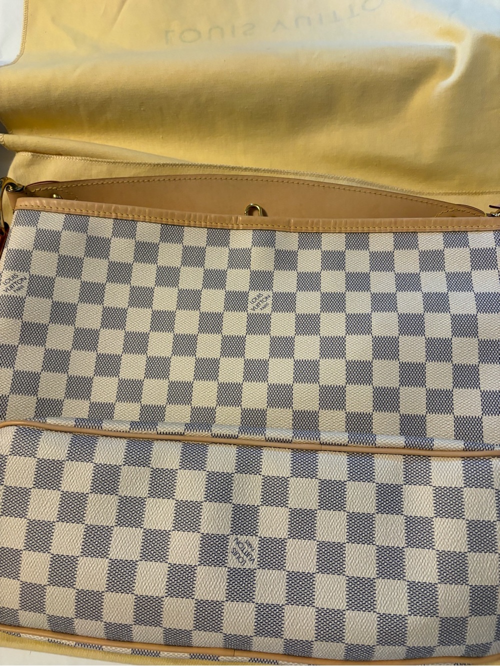 Louis Vuitton Delightful
